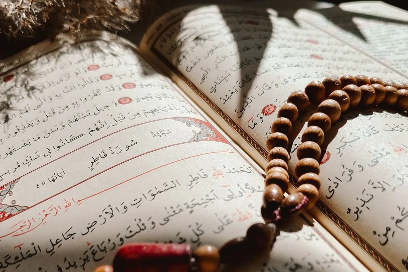 An open Quran and prayer beads in warm natural light.
